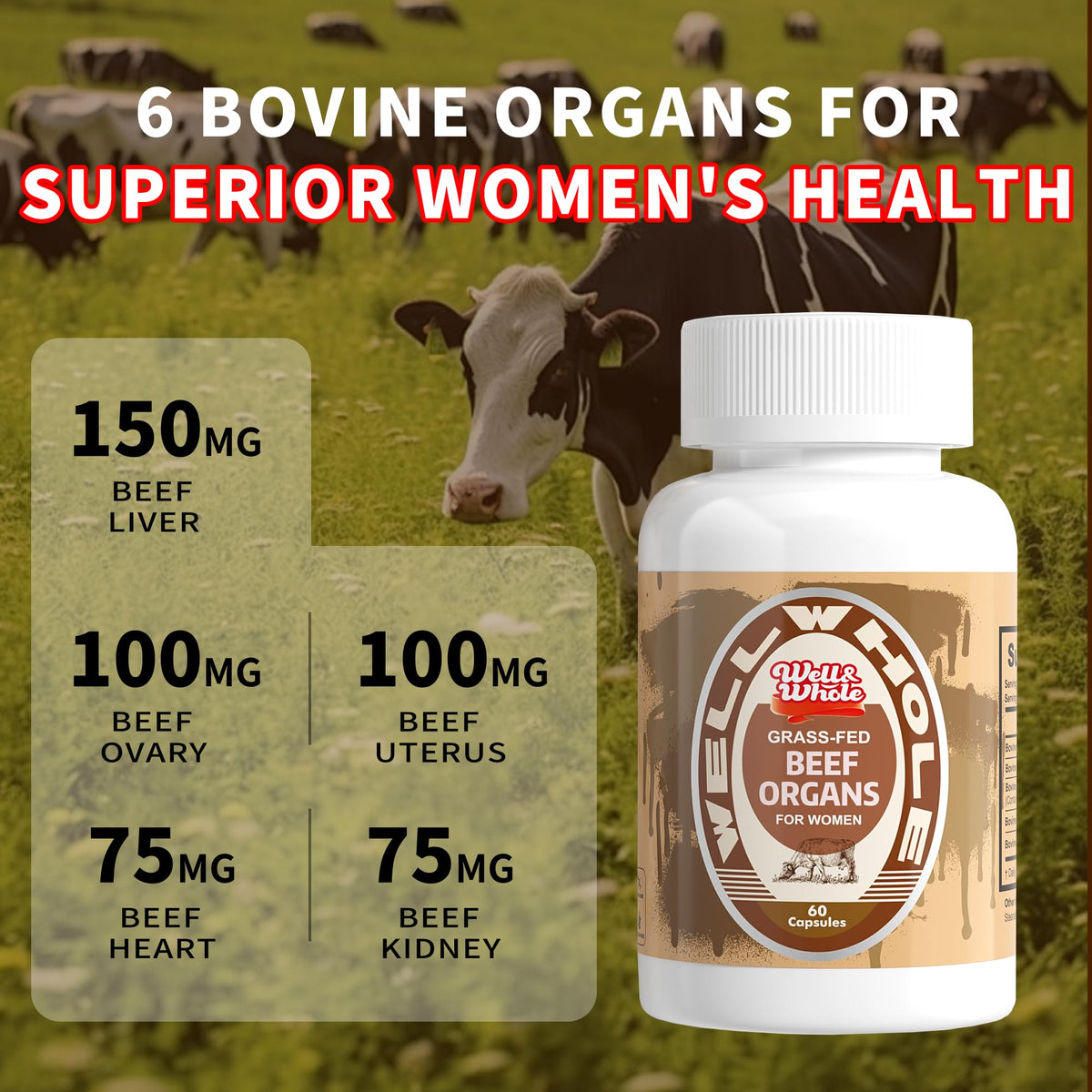 6 bovine organs for superior women＇s health