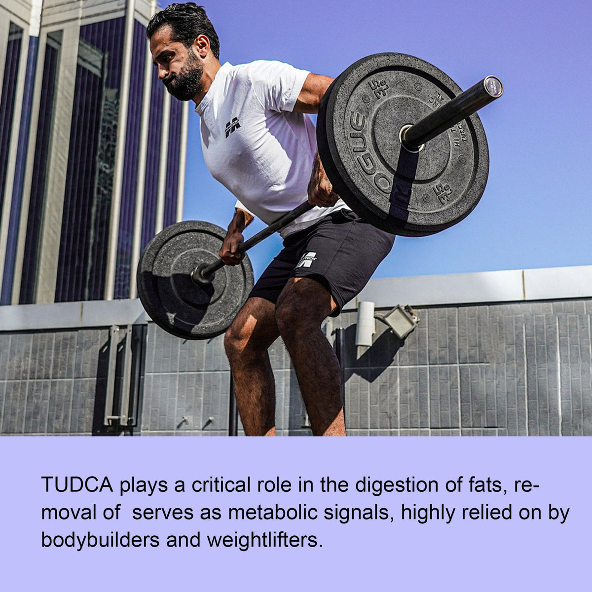 TUDCA 1000mg Gummies